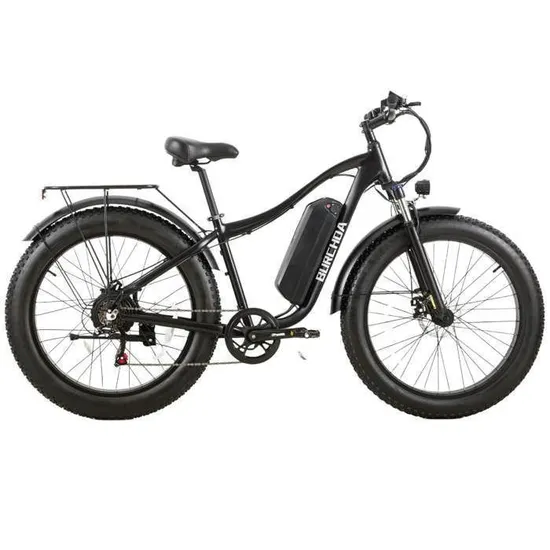 1000W Motor Ebike