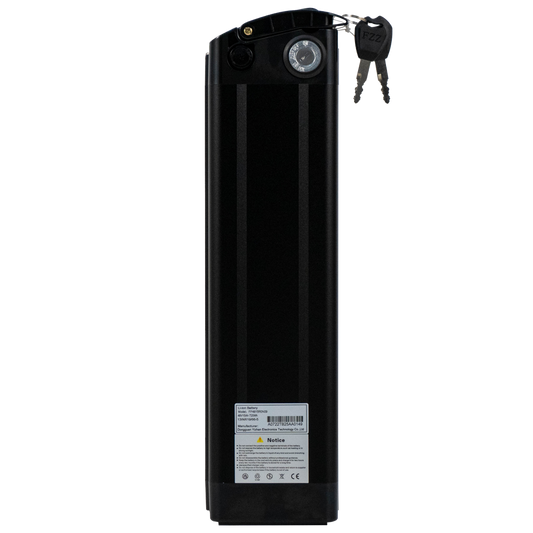 48V15Ah battery for burchda R8/R8S