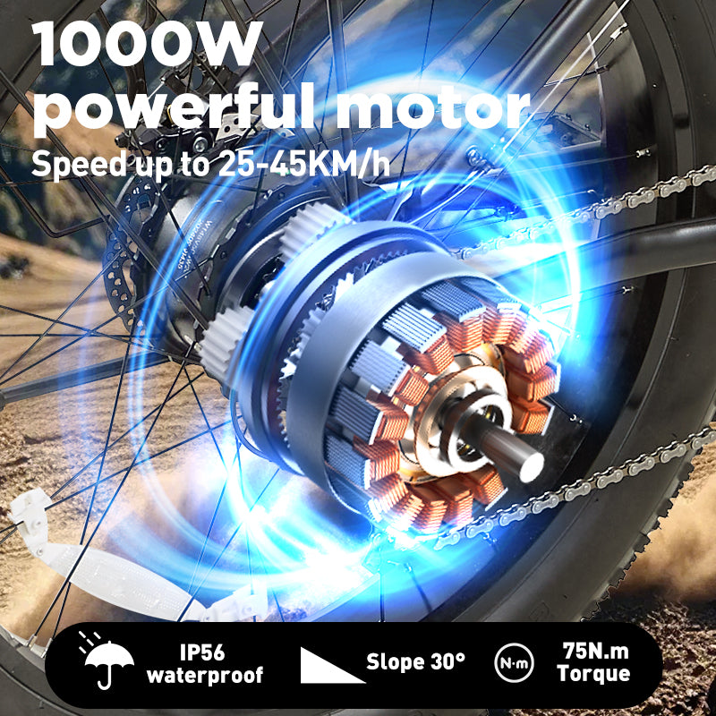 1000W Motor for burchda rx02
