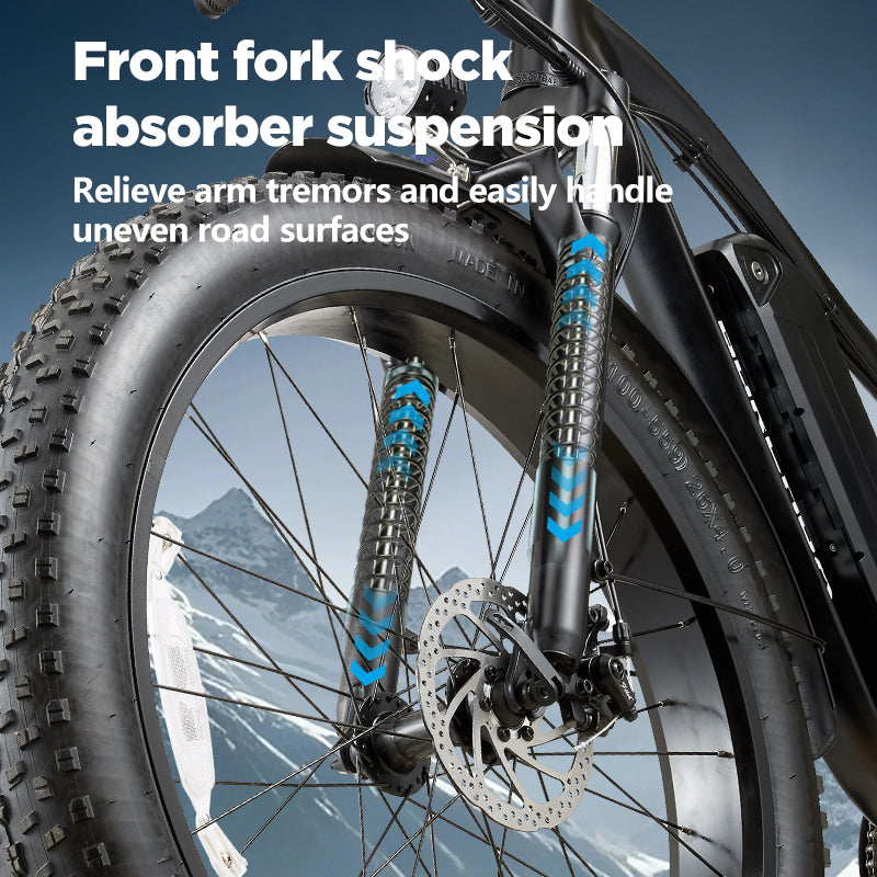 rx02 ebike