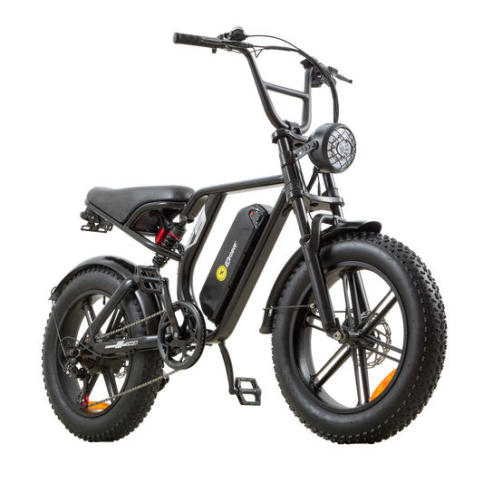 Burchda H1