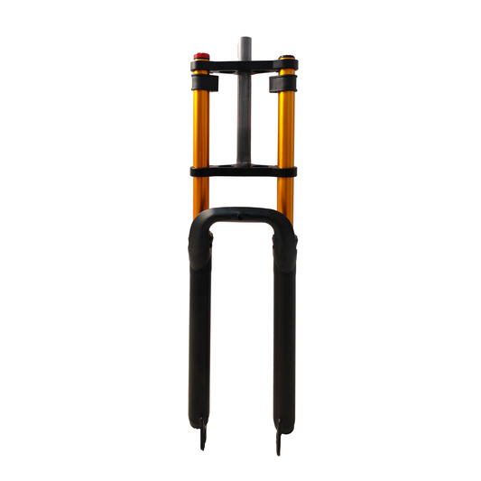 BURCHDA Front Fork Shock Absorber