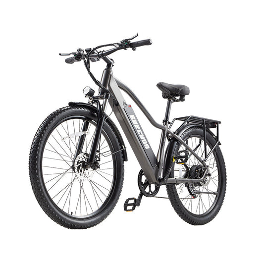 ceaya otida burchda ebike RX70