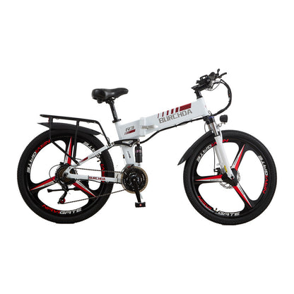 The Cheapest Burchda E-bike